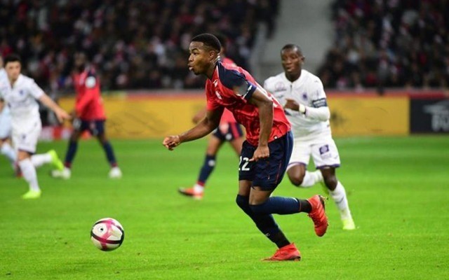 分数增加了 分数增加了